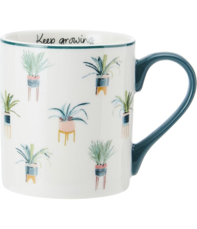 Fine China 280ML Düz Taraflı Kupa Kaktüs